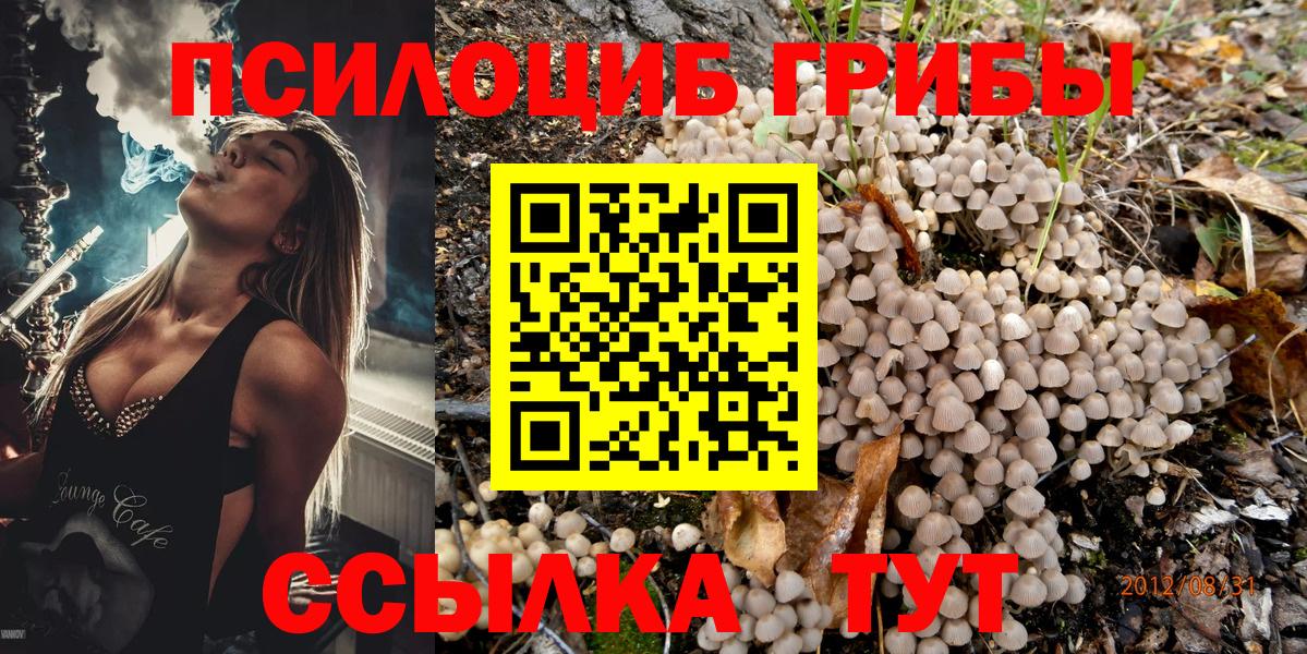 Галлюциногенные грибы Cubensis Джанкой